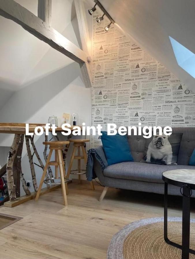 Appartements Atypiques Centre Historique Dijon Dış mekan fotoğraf