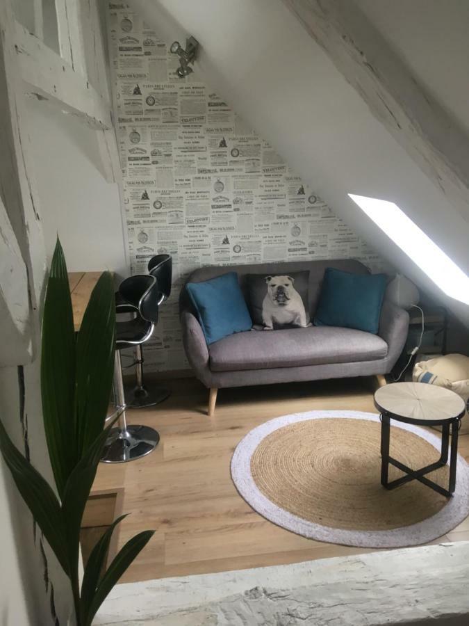 Appartements Atypiques Centre Historique Dijon Dış mekan fotoğraf
